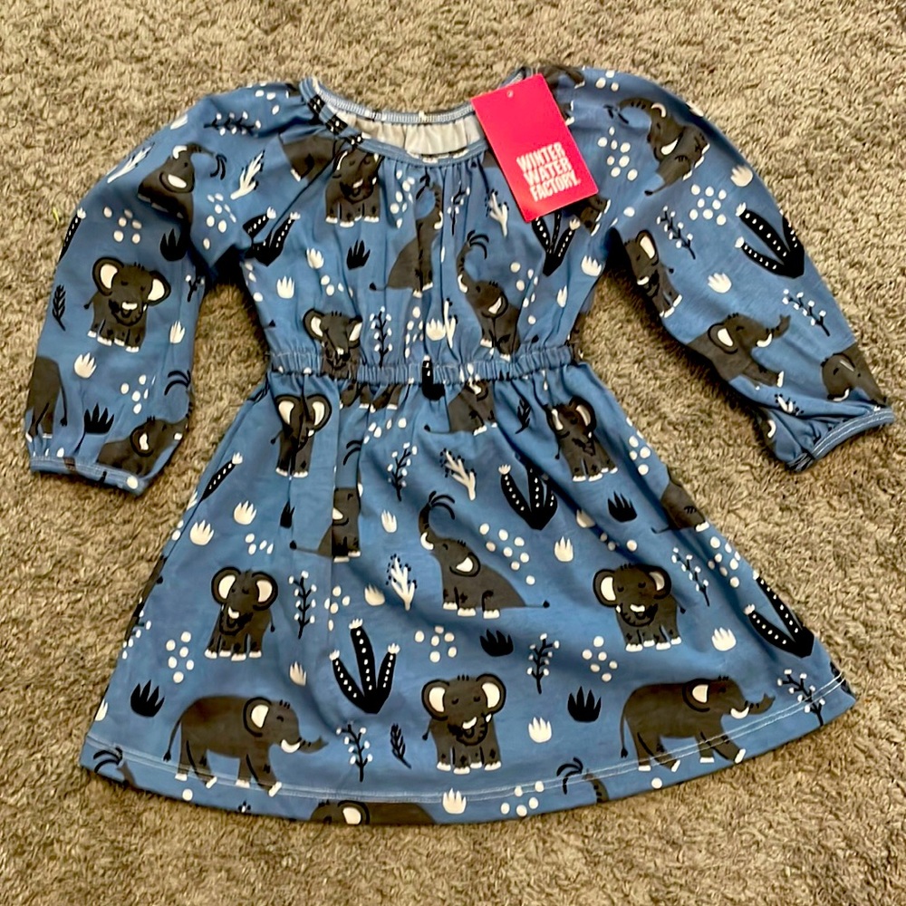 NWT Winter Water Factory toddler dress